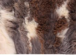 Photo Textures of Fur